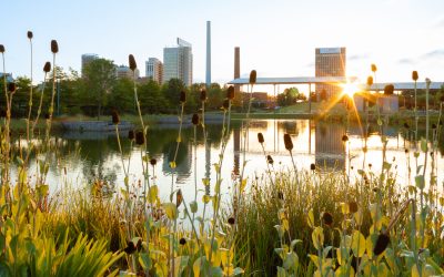 Sunrise Over The Real Estate Landscape Of Birmingham, AL, As Seen From Railroad Park